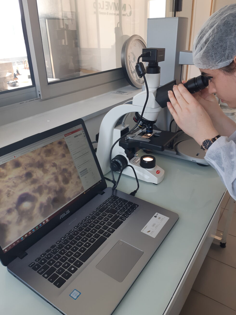 Nouveauté au labo_MICROSCOPE - Inavive Lab